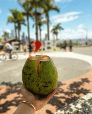 BALNEARIO CAMBORIÚ - Verano 2026 - 02 y 07 de Enero