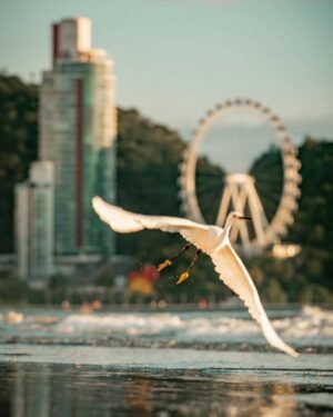 BALNEARIO CAMBORIÚ - Semana Santa